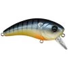 6th Sense Movement 80X Crankbait 1 6th Sense Movement 80X Crankbait -Fishing Shop 6th Sense Movement 80X Crankbait 810047025290 image1 79789.1675980831