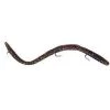 Ike-Con Rigged Worm 6" -Fishing Shop Ike Con Rigged Worm 6 737786102009 image1 16525.1491583427