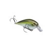 Strike King KVD 1.5 Squarebill Crankbait -Fishing Shop Strike King KVD 1 5 Squarebill Crankbait 051034244069 image1 79889.1617387328